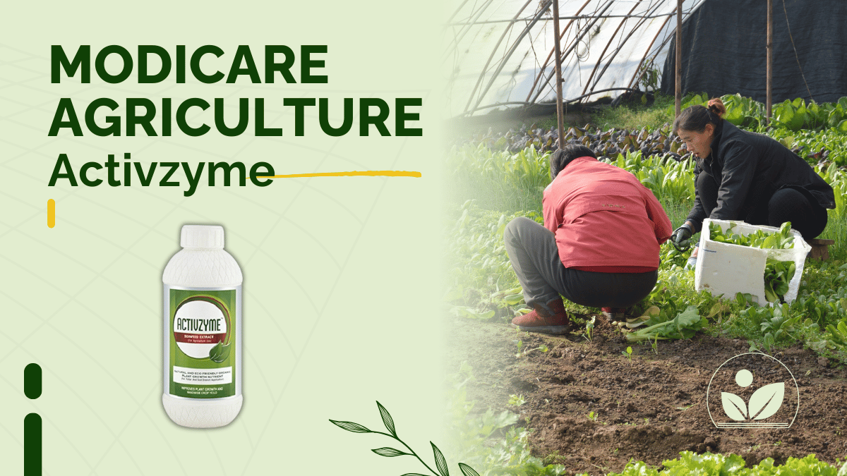 Modicare Agriculture Activzyme Images for farmers of India